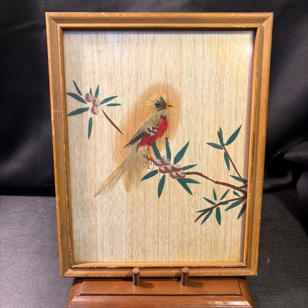 Vintage Mexican Feather Art Bird Framed Wood Folk Art 9.5x7.5 Multi-Color